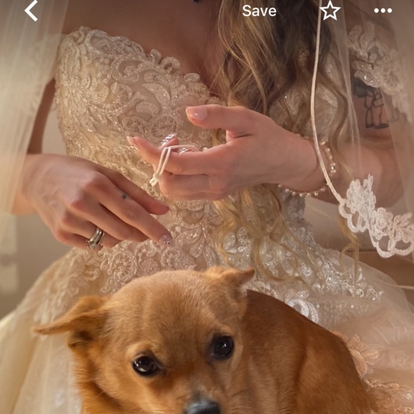 Wedding Dress- Sottero & Midgley - Picture 3 of 9